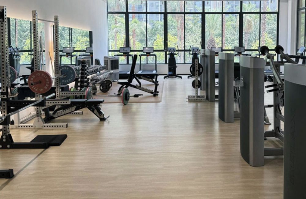 Gym Equipment — Agruvio Fitness & Wellness Equipment